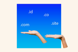 macam domain .id .com